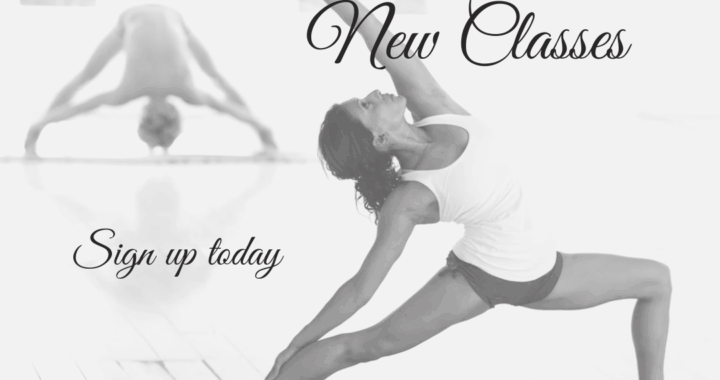 Stretching Exercises for Seniors for Full-Body Flexibility