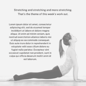 Stretching Exercises for Seniors for Full-Body Flexibility